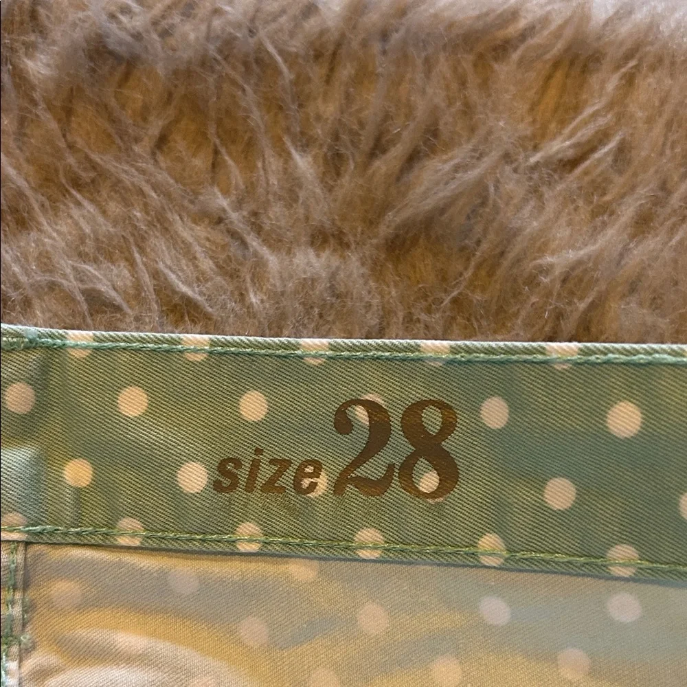 Jcrew Polka Dot Mint Green And White Cropped‎ Matchstick Jeans